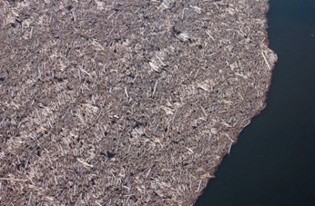 log mat