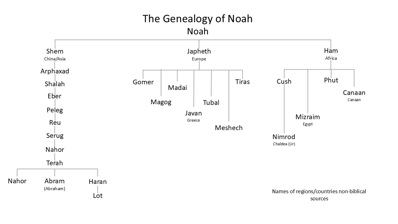 The Genealogy of Noah